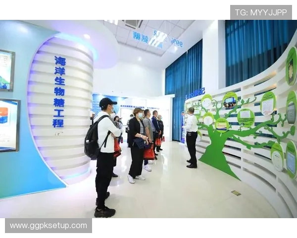 嘉年华在线娱乐城：严格的安全措施保障玩家个人信息与资金安全